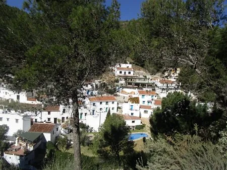 Acebuchal Andalusien, Sydspanien